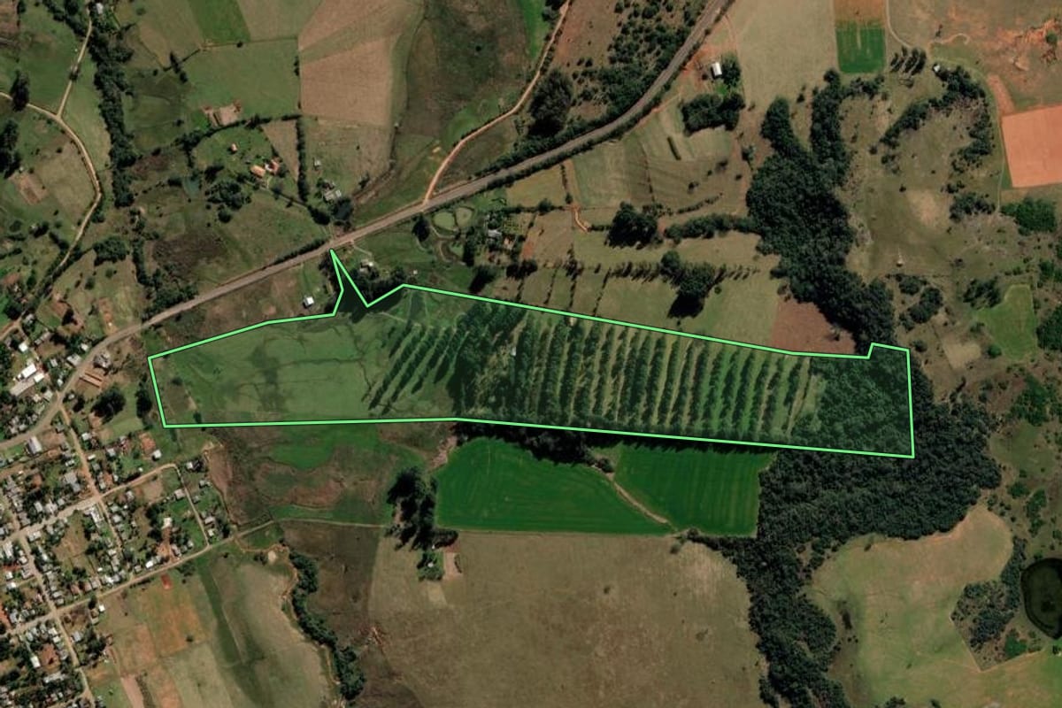 Imagem de satélite do imóvel rural em São Francisco de Assis (RS), com o contorno declarado no CAR desenhado por cima.