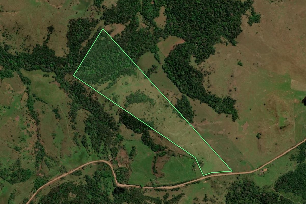 Imagem de satélite do imóvel rural em São Francisco de Assis (RS), com o contorno declarado no CAR desenhado por cima.