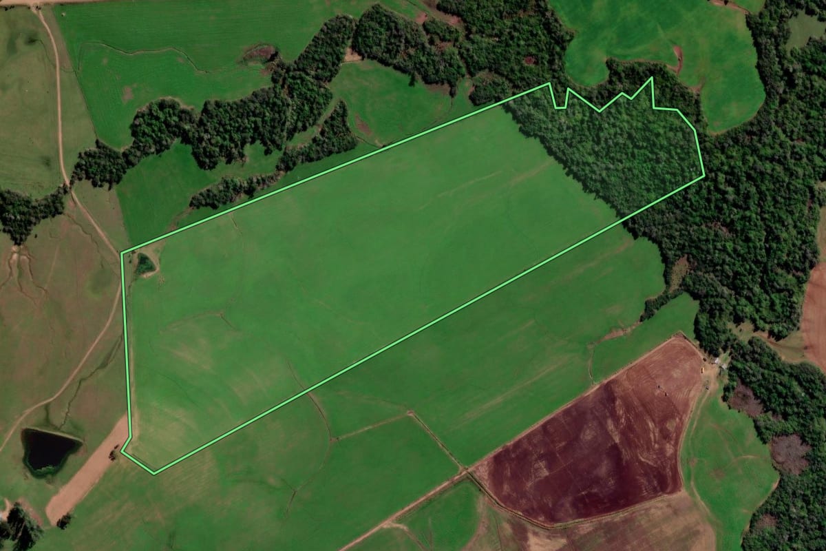 Imagem de satélite do imóvel rural em São Francisco de Assis (RS), com o contorno declarado no CAR desenhado por cima.