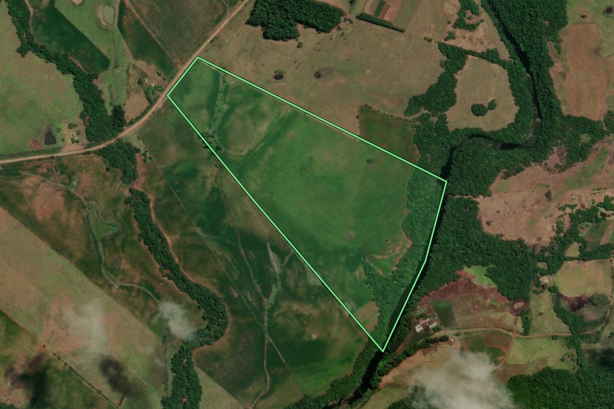 Imagem de satélite do imóvel rural em São Francisco de Assis (RS), com o contorno declarado no CAR desenhado por cima.