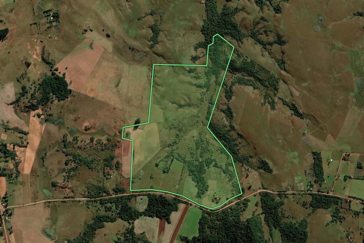 Imagem de satélite do imóvel rural em São Francisco de Assis (RS), com o contorno declarado no CAR desenhado por cima.
