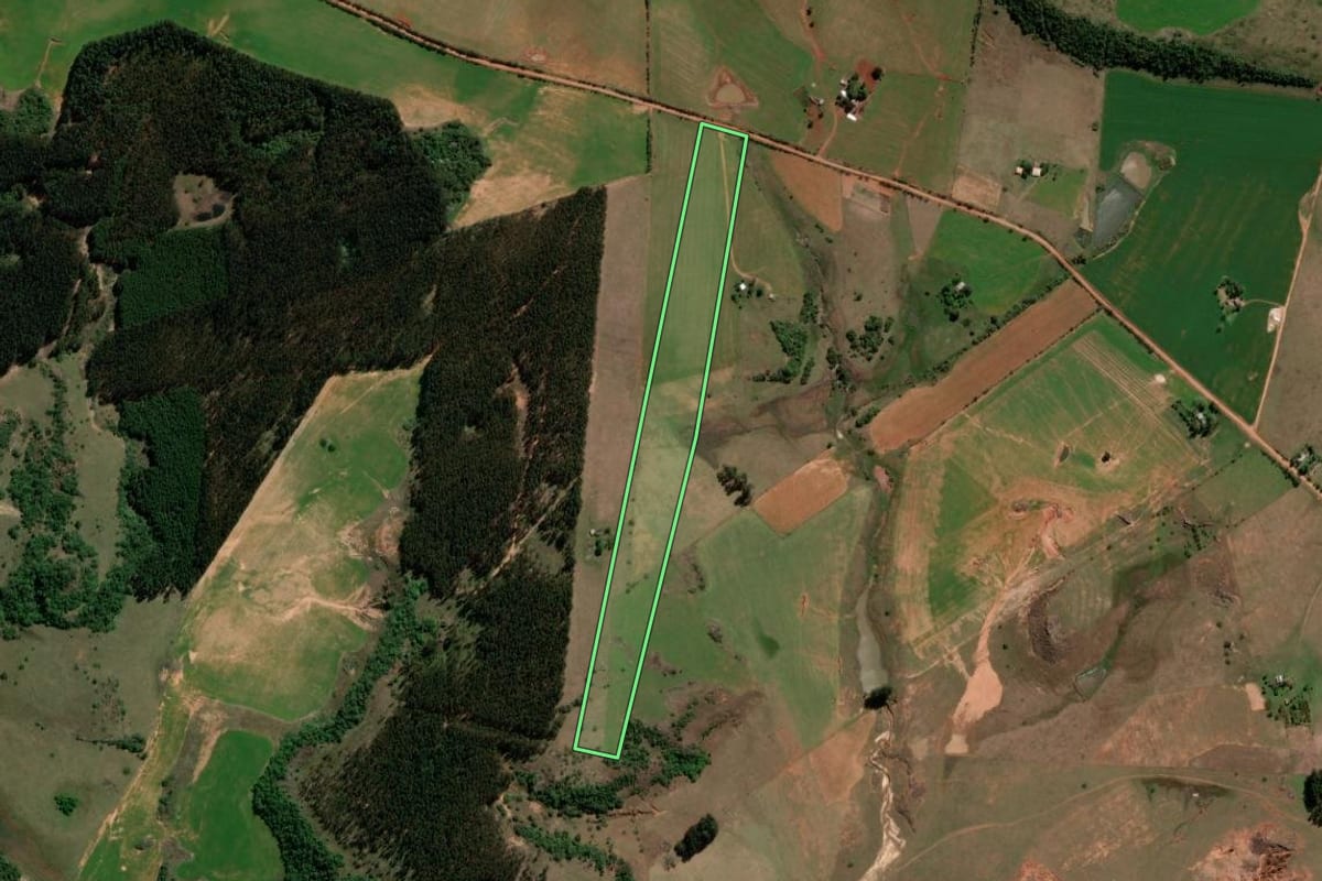 Imagem de satélite do imóvel rural em São Francisco de Assis (RS), com o contorno declarado no CAR desenhado por cima.