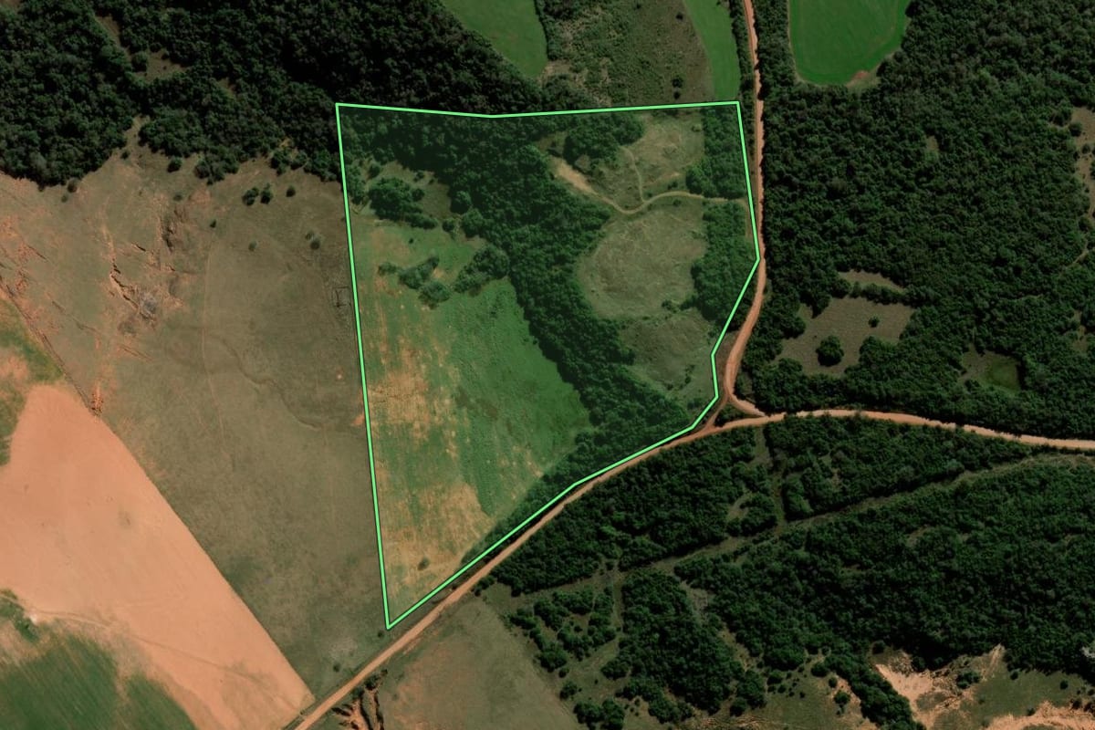 Imagem de satélite do imóvel rural em São Francisco de Assis (RS), com o contorno declarado no CAR desenhado por cima.