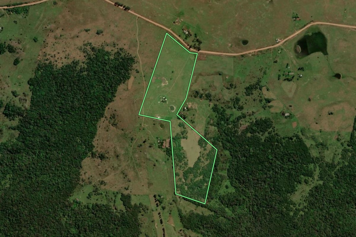Imagem de satélite do imóvel rural em São Francisco de Assis (RS), com o contorno declarado no CAR desenhado por cima.