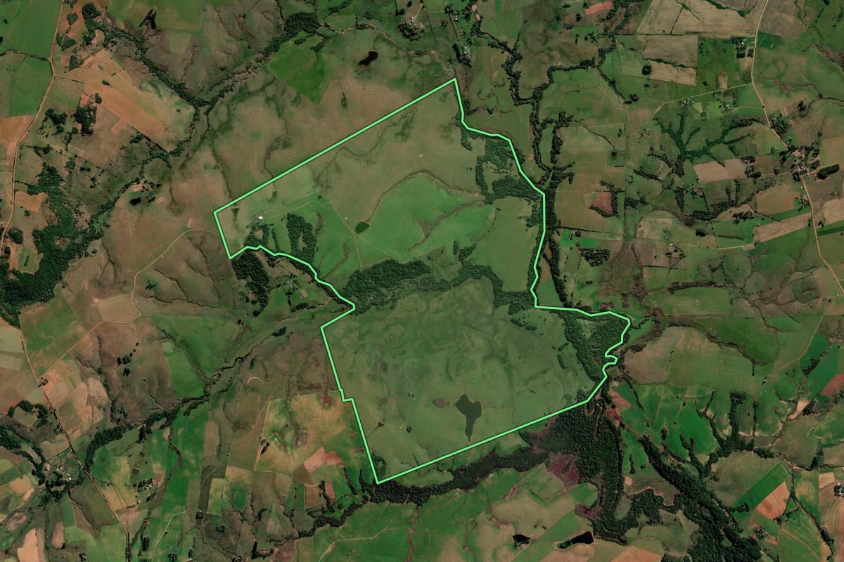 Imagem de satélite do imóvel rural em São Francisco de Assis (RS), com o contorno declarado no CAR desenhado por cima.