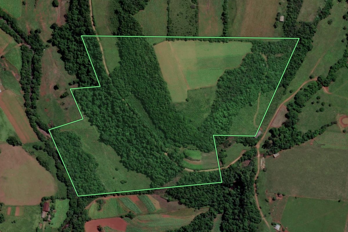 Imagem de satélite do imóvel rural em São Francisco de Assis (RS), com o contorno declarado no CAR desenhado por cima.