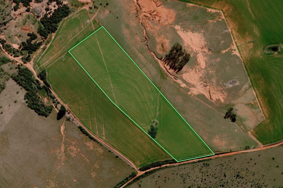 Imagem de satélite do imóvel rural em São Francisco de Assis (RS), com o contorno declarado no CAR desenhado por cima.