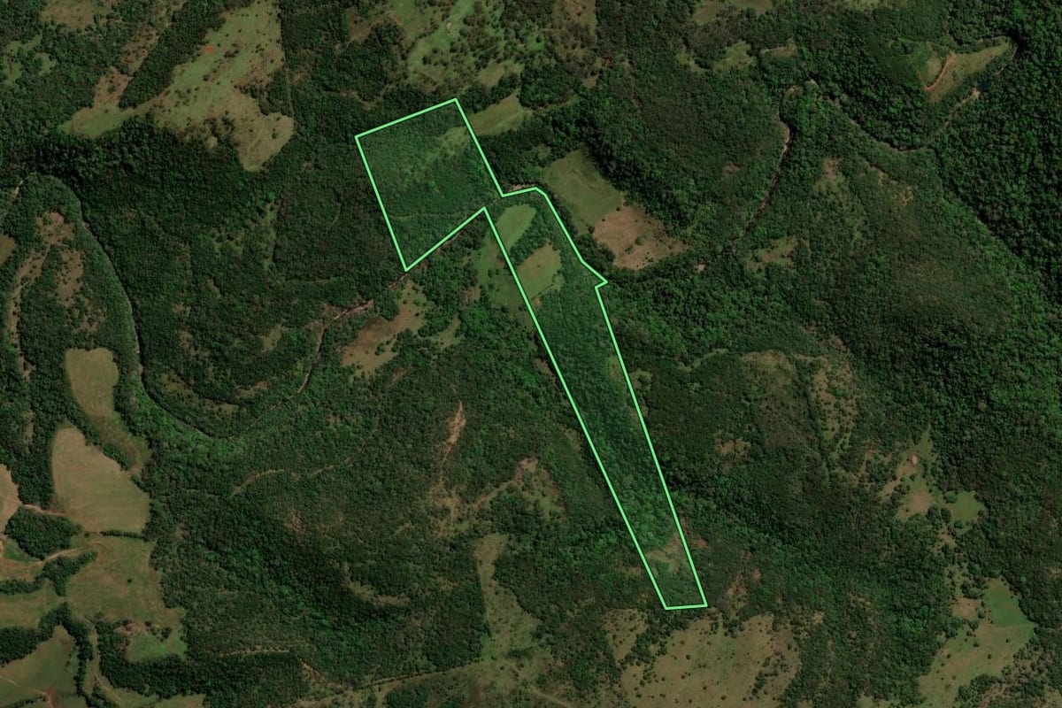 Imagem de satélite do imóvel rural em São Francisco de Assis (RS), com o contorno declarado no CAR desenhado por cima.