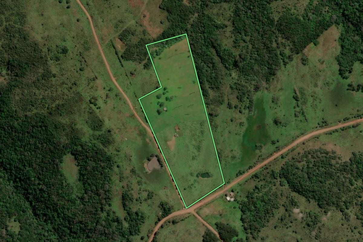 Imagem de satélite do imóvel rural em São Francisco de Assis (RS), com o contorno declarado no CAR desenhado por cima.