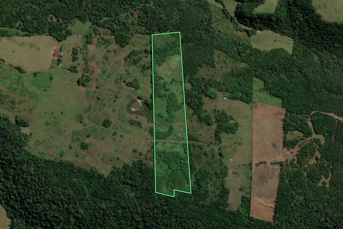 Imagem de satélite do imóvel rural em São Francisco de Assis (RS), com o contorno declarado no CAR desenhado por cima.