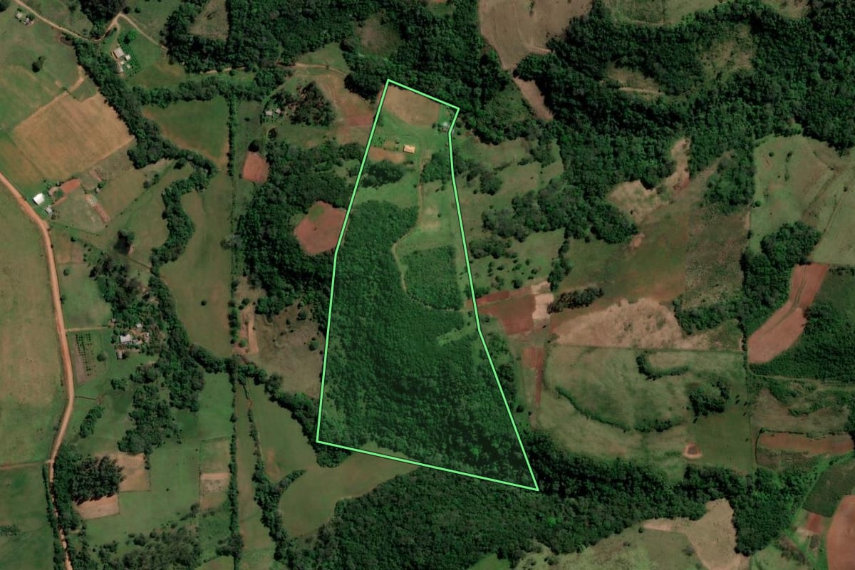 Imagem de satélite do imóvel rural em São Francisco de Assis (RS), com o contorno declarado no CAR desenhado por cima.