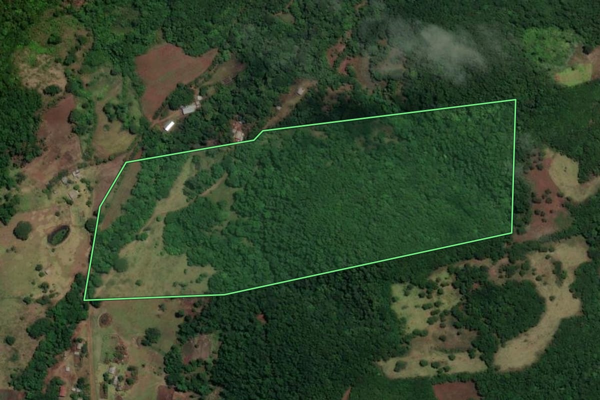 Imagem de satélite do imóvel rural em São Francisco de Assis (RS), com o contorno declarado no CAR desenhado por cima.