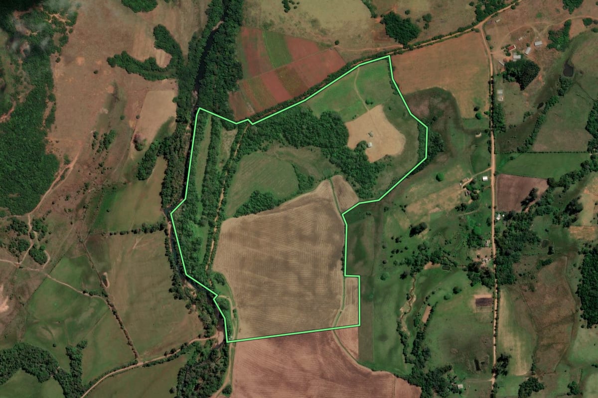 Imagem de satélite do imóvel rural em São Francisco de Assis (RS), com o contorno declarado no CAR desenhado por cima.