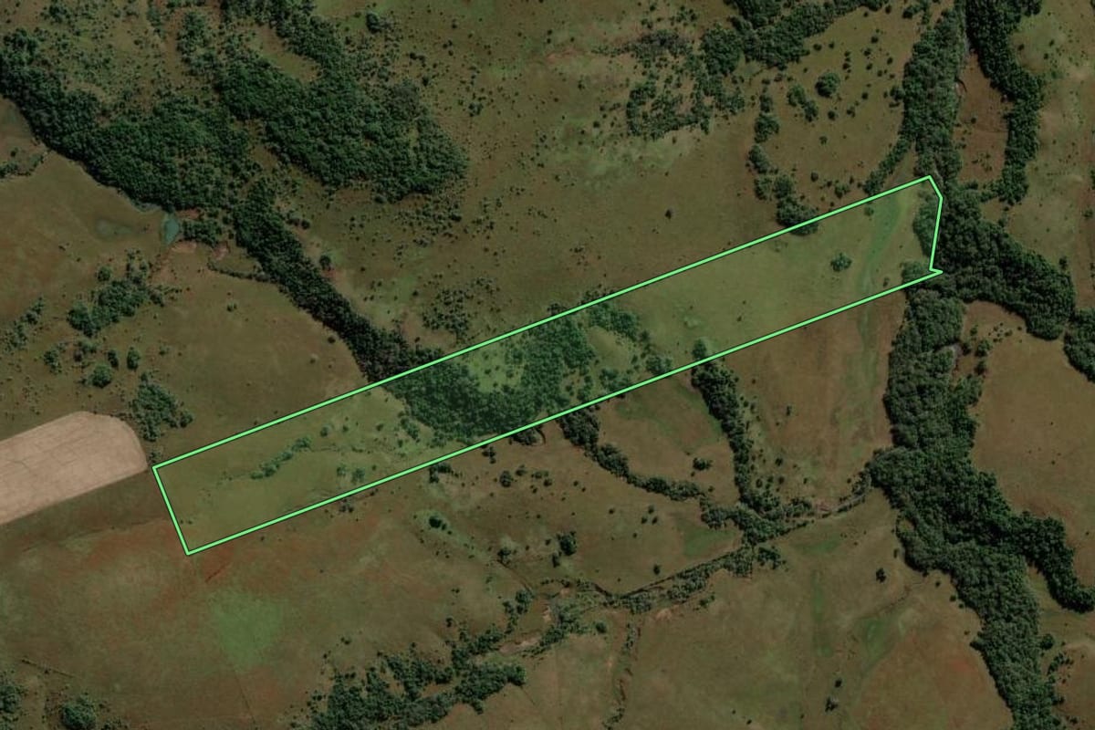 Imagem de satélite do imóvel rural em São Francisco de Assis (RS), com o contorno declarado no CAR desenhado por cima.