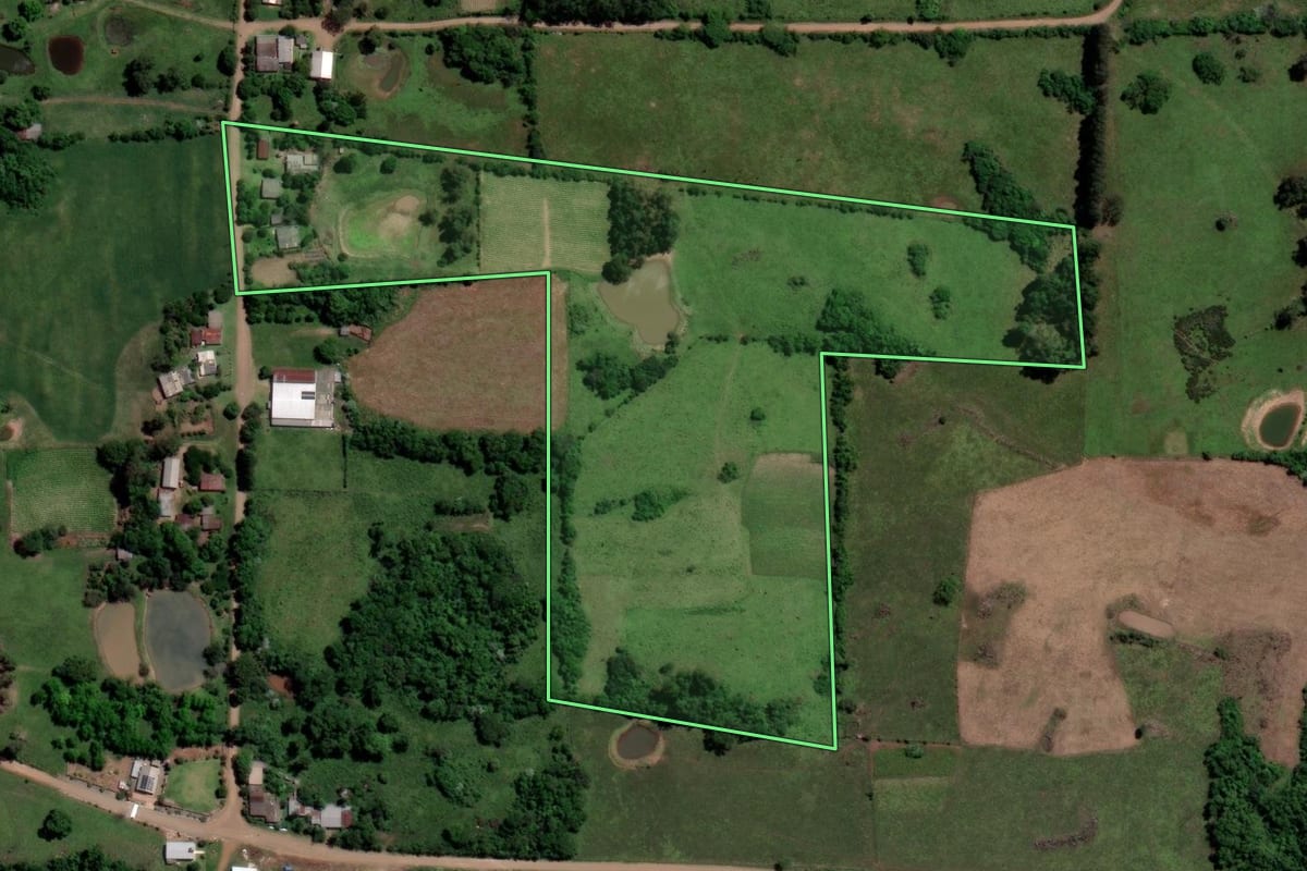 Imagem de satélite do imóvel rural em São Francisco de Assis (RS), com o contorno declarado no CAR desenhado por cima.