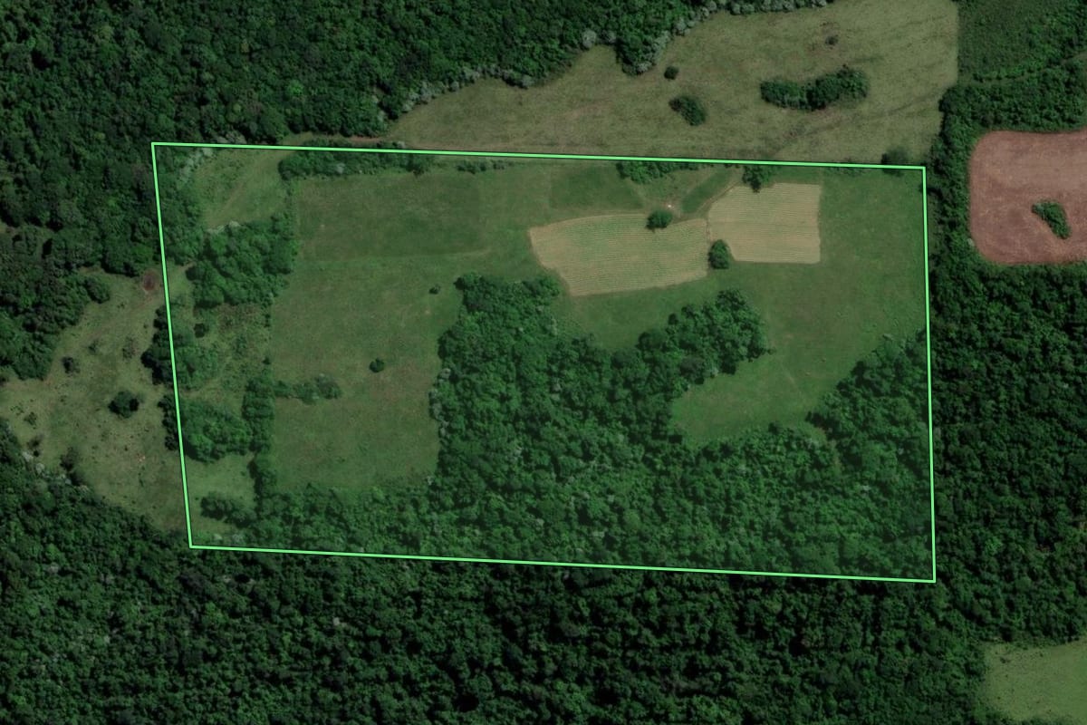Imagem de satélite do imóvel rural em São Francisco de Assis (RS), com o contorno declarado no CAR desenhado por cima.