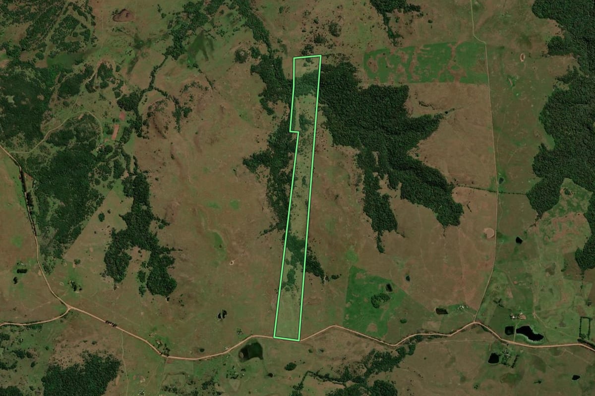 Imagem de satélite do imóvel rural em São Francisco de Assis (RS), com o contorno declarado no CAR desenhado por cima.