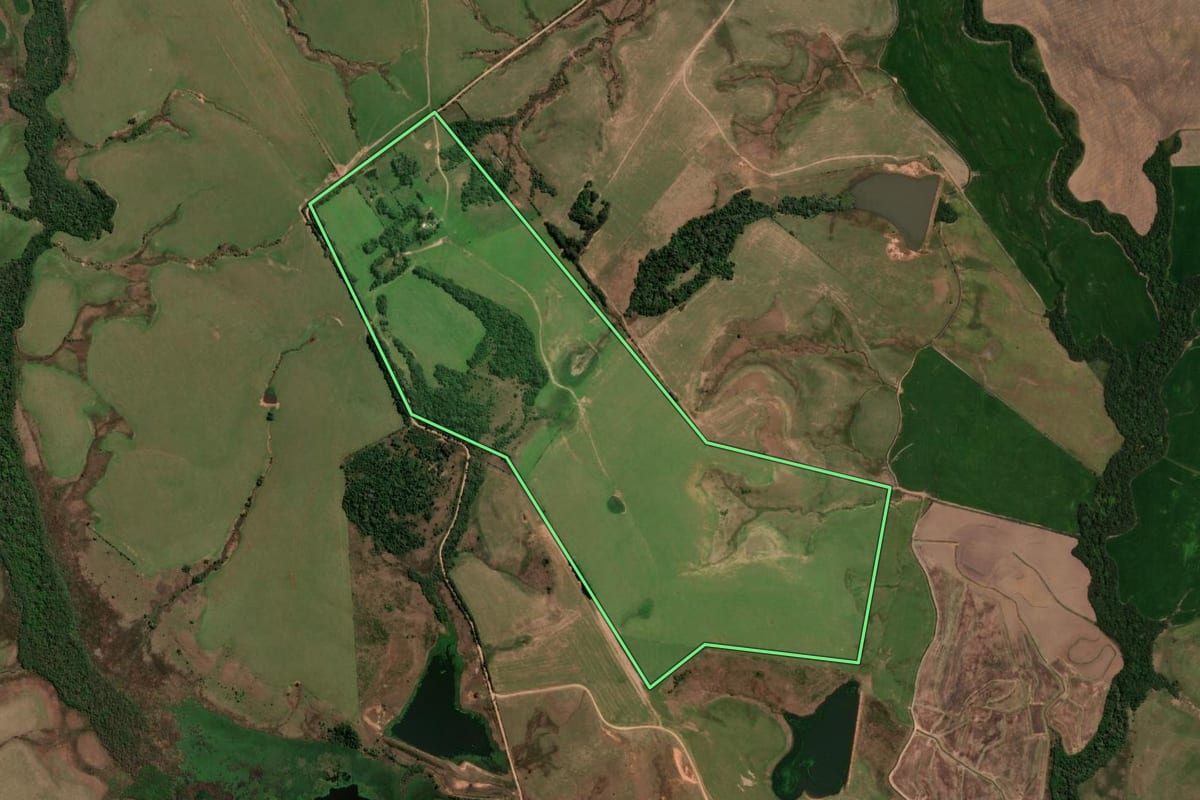 Imagem de satélite do imóvel rural em São Francisco de Assis (RS), com o contorno declarado no CAR desenhado por cima.