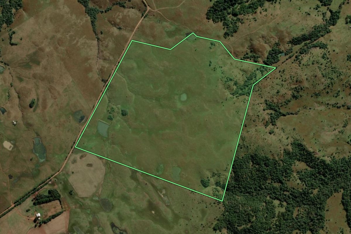 Imagem de satélite do imóvel rural em São Francisco de Assis (RS), com o contorno declarado no CAR desenhado por cima.