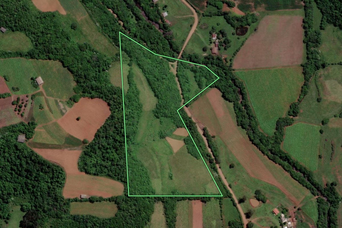 Imagem de satélite do imóvel rural em São Francisco de Assis (RS), com o contorno declarado no CAR desenhado por cima.