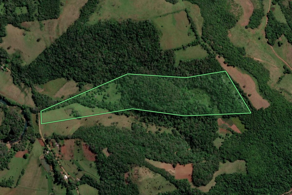 Imagem de satélite do imóvel rural em São Francisco de Assis (RS), com o contorno declarado no CAR desenhado por cima.