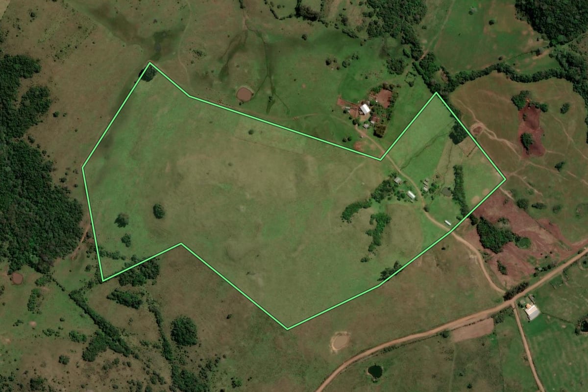 Imagem de satélite do imóvel rural em São Francisco de Assis (RS), com o contorno declarado no CAR desenhado por cima.