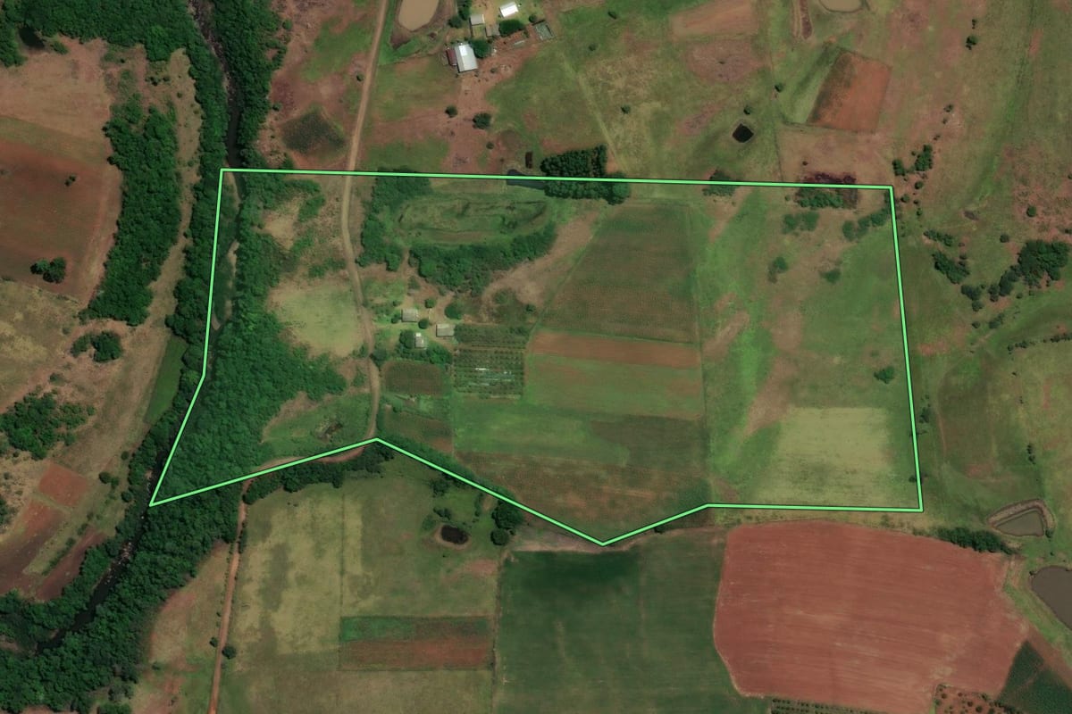 Imagem de satélite do imóvel rural em São Francisco de Assis (RS), com o contorno declarado no CAR desenhado por cima.