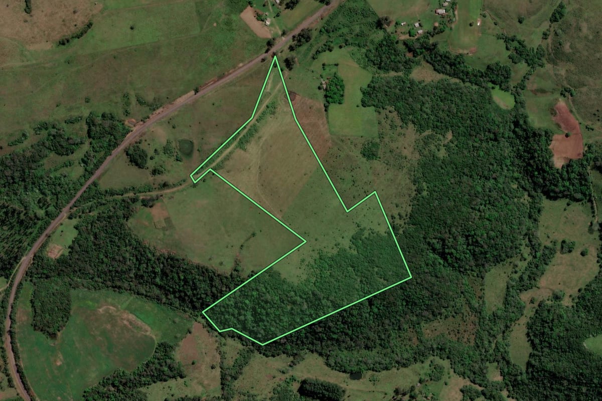 Imagem de satélite do imóvel rural em São Francisco de Assis (RS), com o contorno declarado no CAR desenhado por cima.