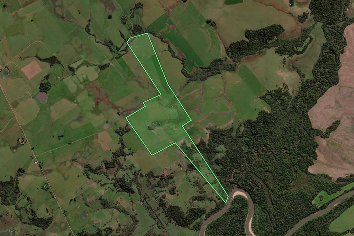 Imagem de satélite do imóvel rural em São Francisco de Assis (RS), com o contorno declarado no CAR desenhado por cima.