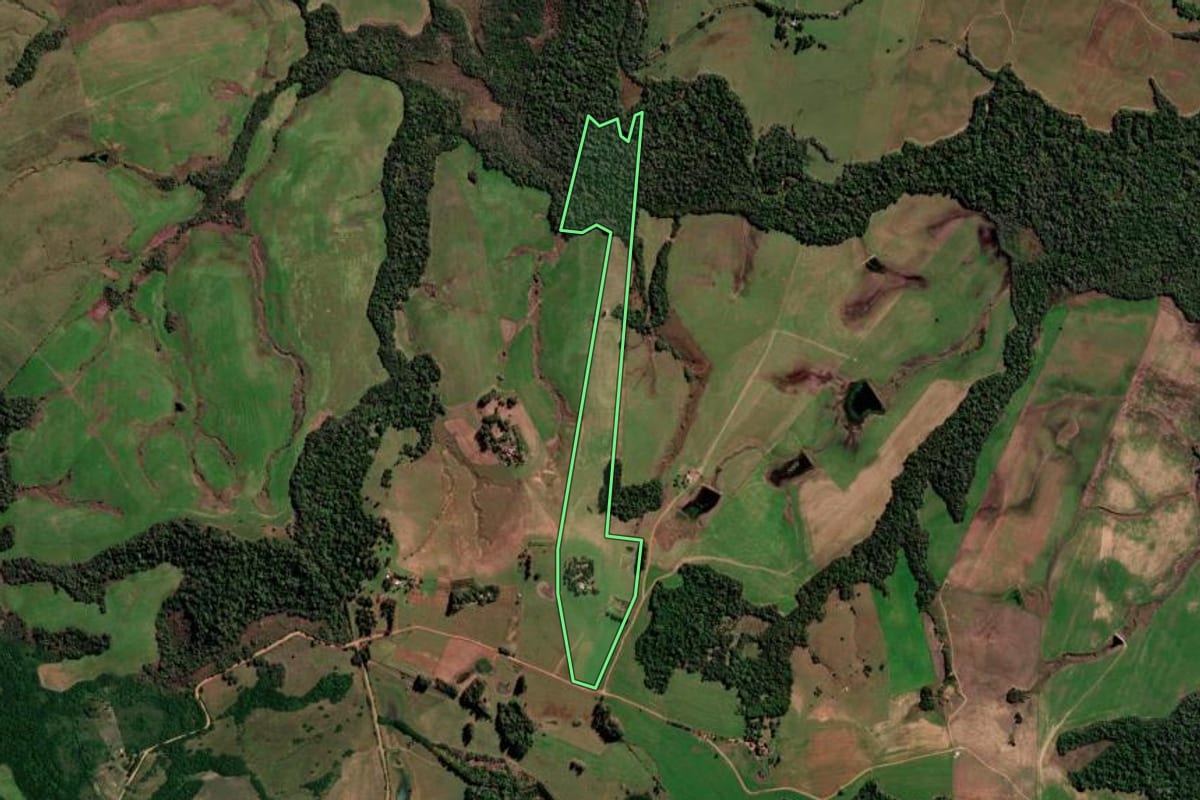 Imagem de satélite do imóvel rural em São Francisco de Assis (RS), com o contorno declarado no CAR desenhado por cima.