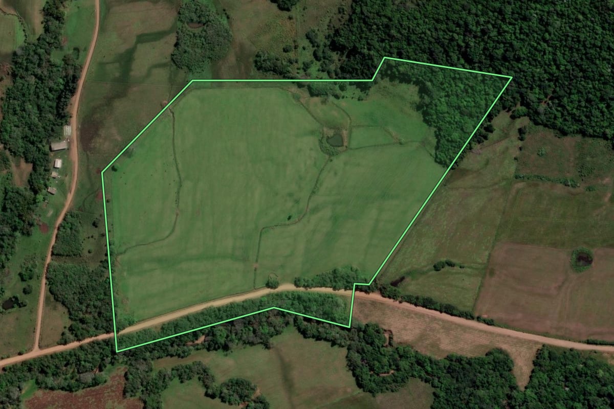 Imagem de satélite do imóvel rural em São Francisco de Assis (RS), com o contorno declarado no CAR desenhado por cima.