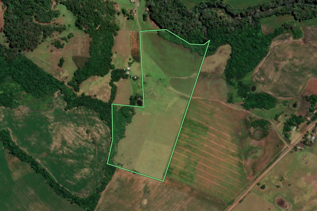 Imagem de satélite do imóvel rural em São Francisco de Assis (RS), com o contorno declarado no CAR desenhado por cima.