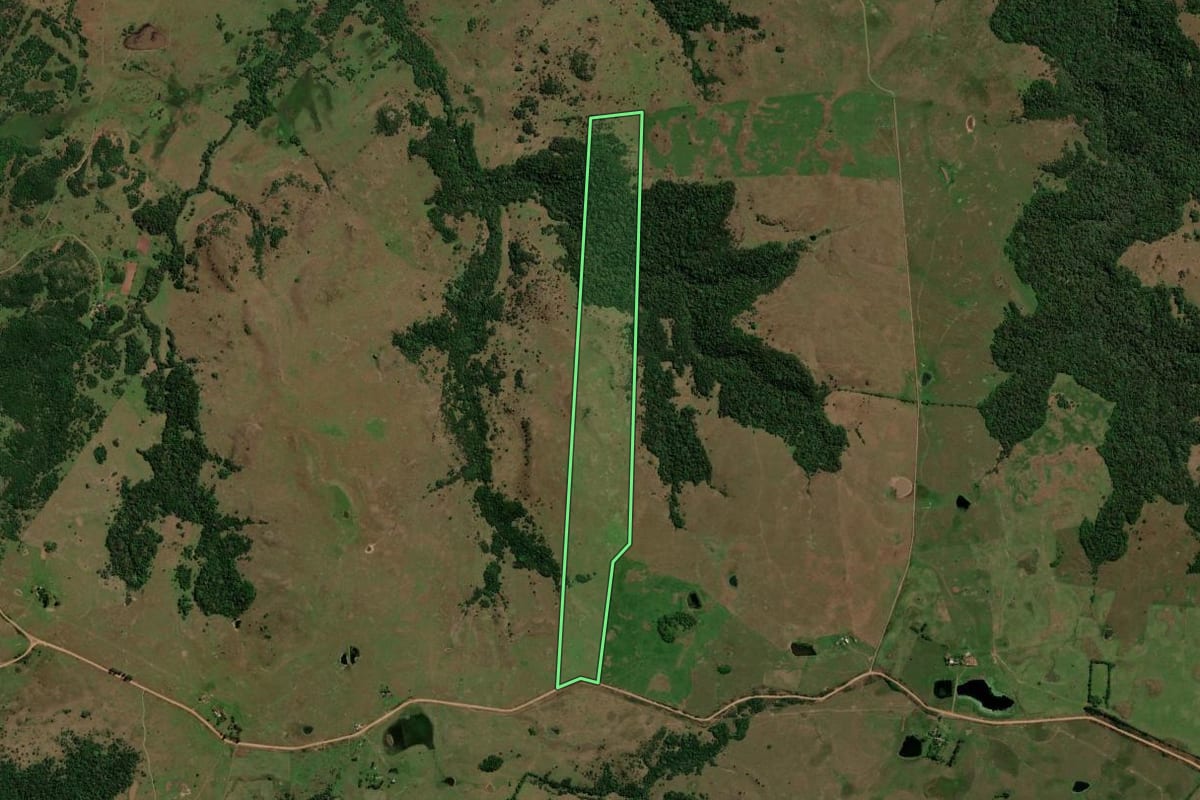 Imagem de satélite do imóvel rural em São Francisco de Assis (RS), com o contorno declarado no CAR desenhado por cima.