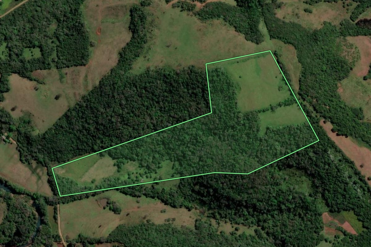 Imagem de satélite do imóvel rural em São Francisco de Assis (RS), com o contorno declarado no CAR desenhado por cima.