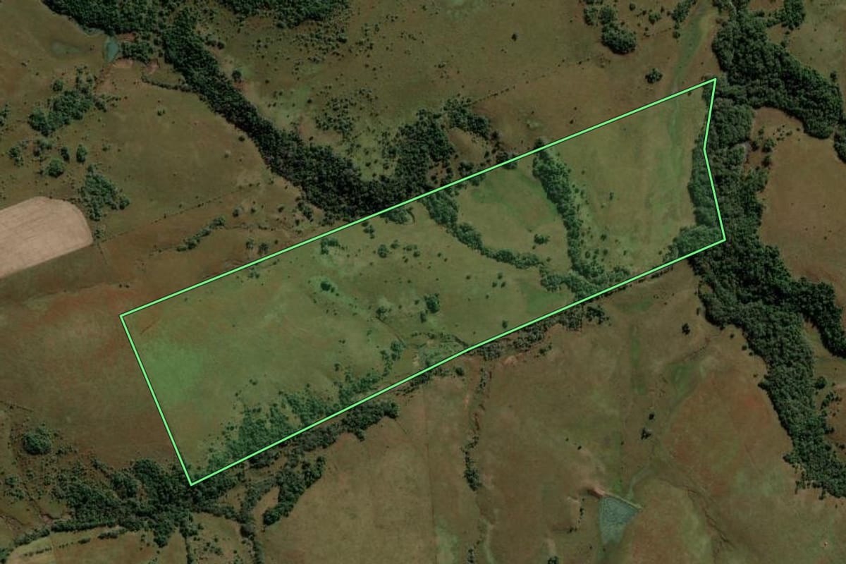 Imagem de satélite do imóvel rural em São Francisco de Assis (RS), com o contorno declarado no CAR desenhado por cima.