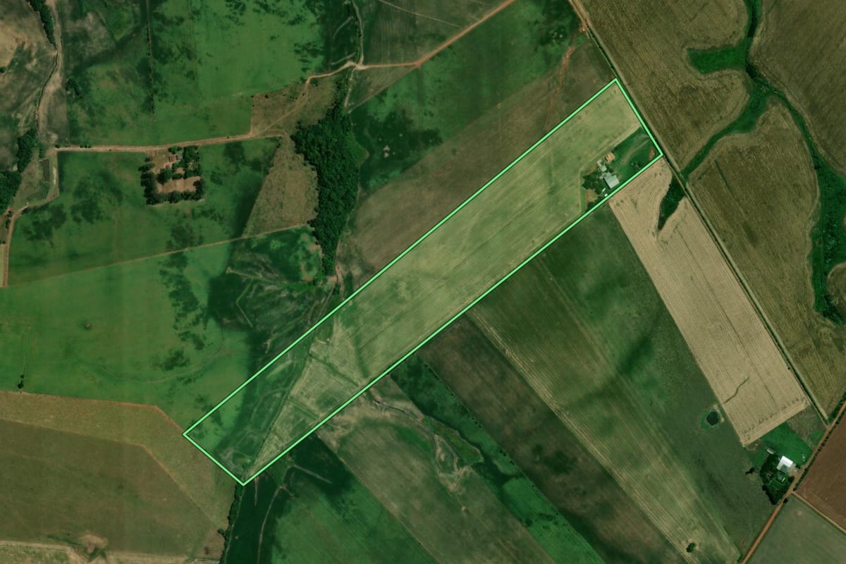 Imagem de satélite do imóvel rural em São Francisco de Assis (RS), com o contorno declarado no CAR desenhado por cima.