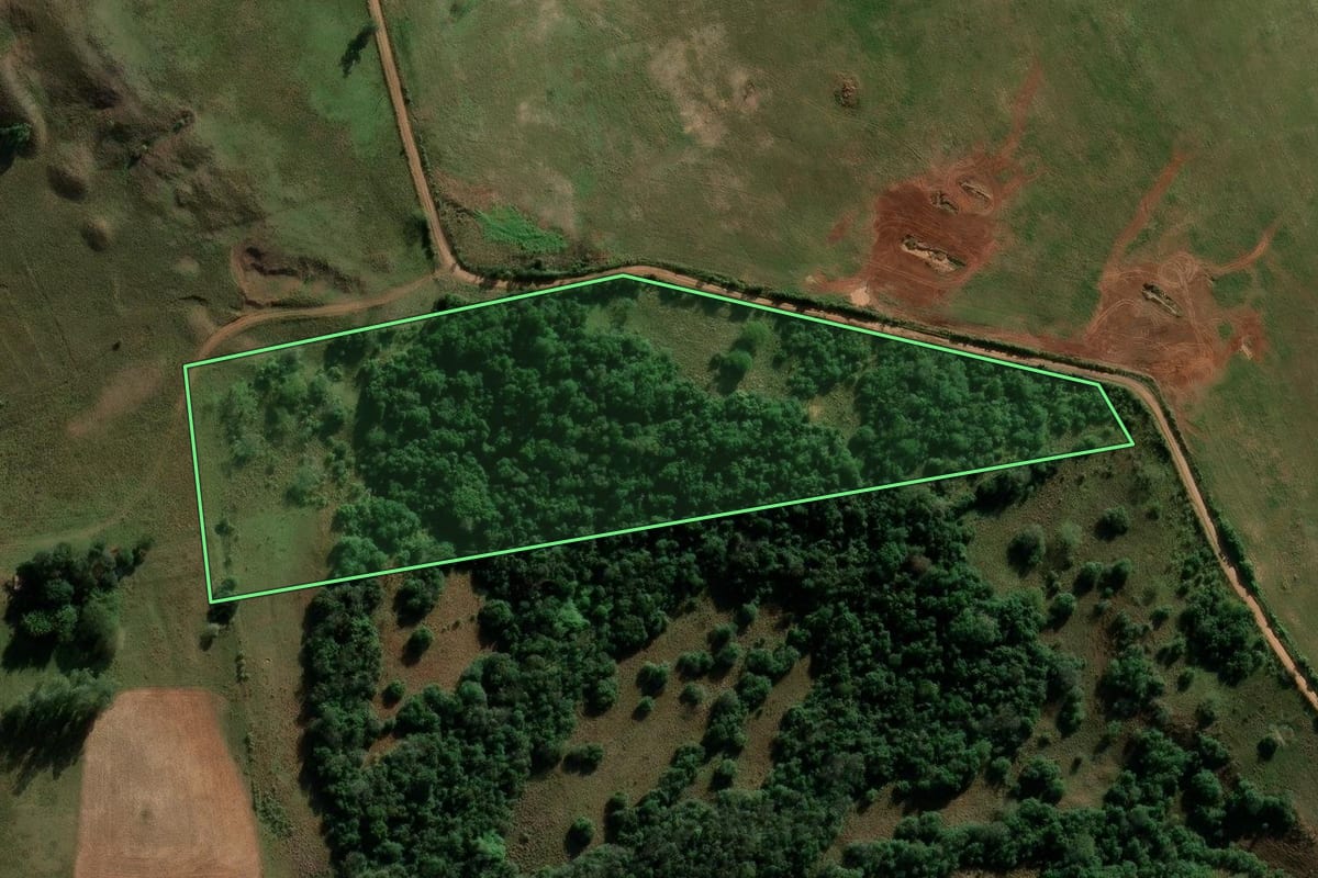 Imagem de satélite do imóvel rural em São Francisco de Assis (RS), com o contorno declarado no CAR desenhado por cima.