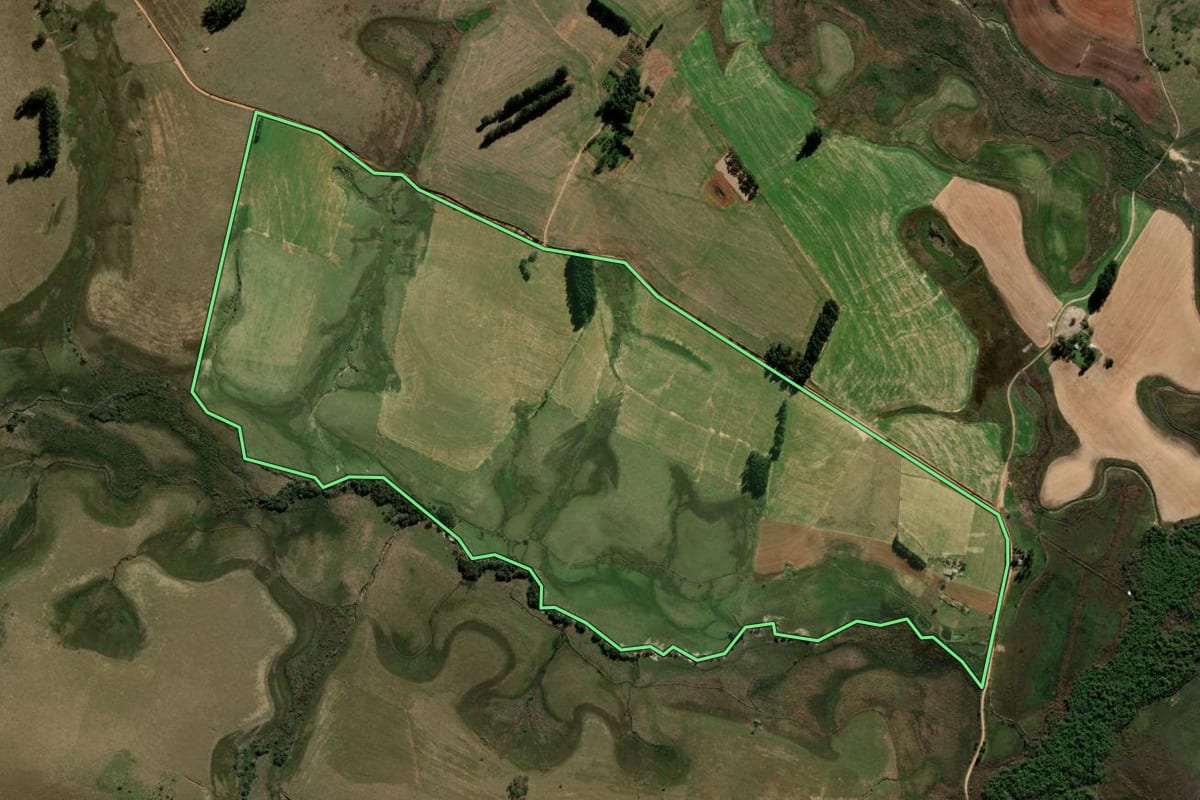 Imagem de satélite do imóvel rural em São Francisco de Assis (RS), com o contorno declarado no CAR desenhado por cima.
