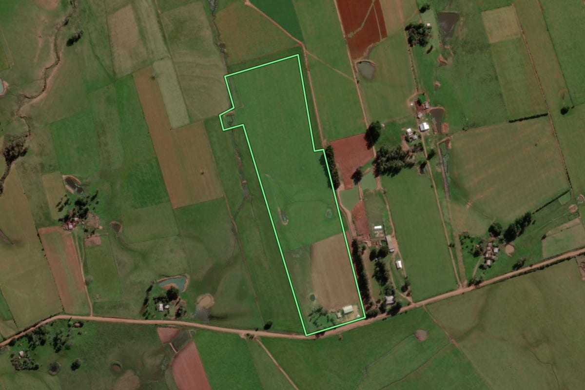 Imagem de satélite do imóvel rural em São Francisco de Assis (RS), com o contorno declarado no CAR desenhado por cima.