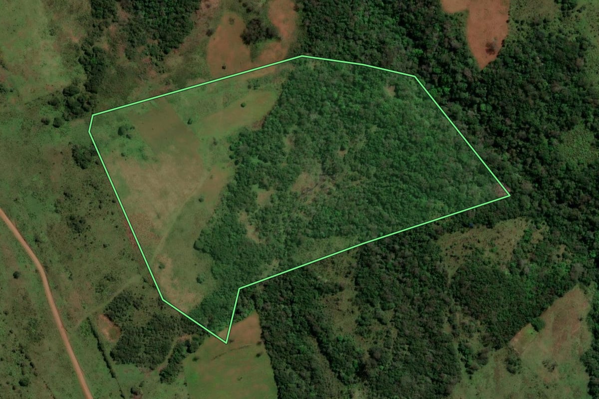 Imagem de satélite do imóvel rural em São Francisco de Assis (RS), com o contorno declarado no CAR desenhado por cima.