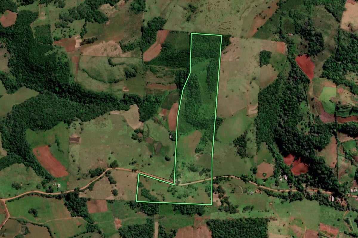 Imagem de satélite do imóvel rural em São Francisco de Assis (RS), com o contorno declarado no CAR desenhado por cima.