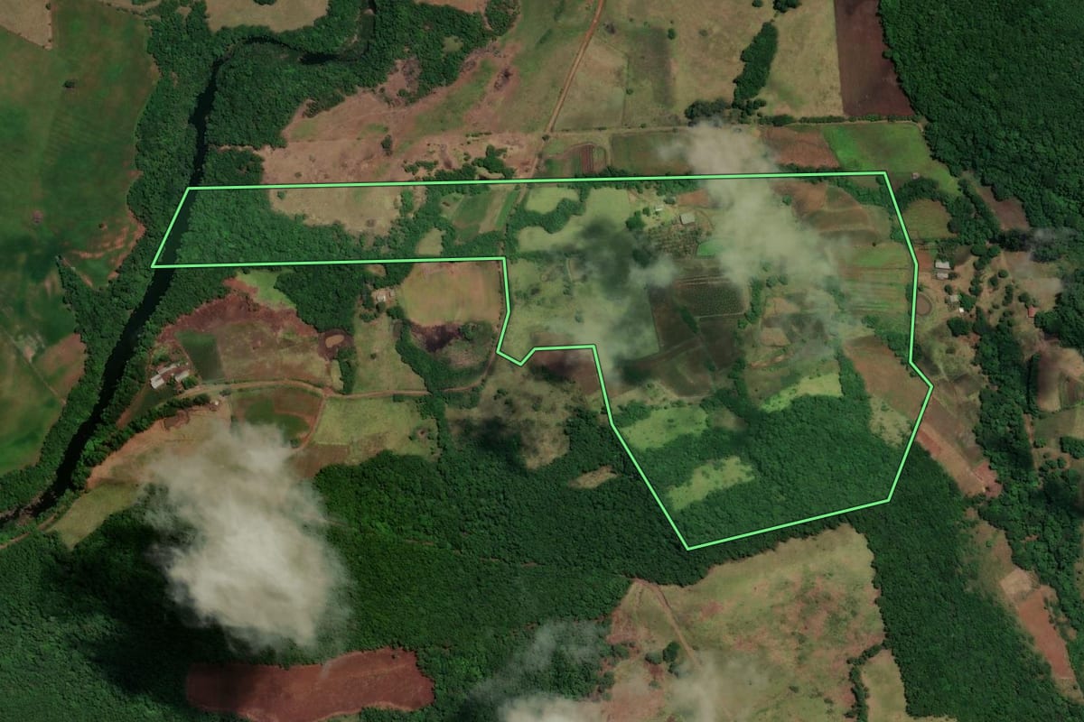 Imagem de satélite do imóvel rural em São Francisco de Assis (RS), com o contorno declarado no CAR desenhado por cima.