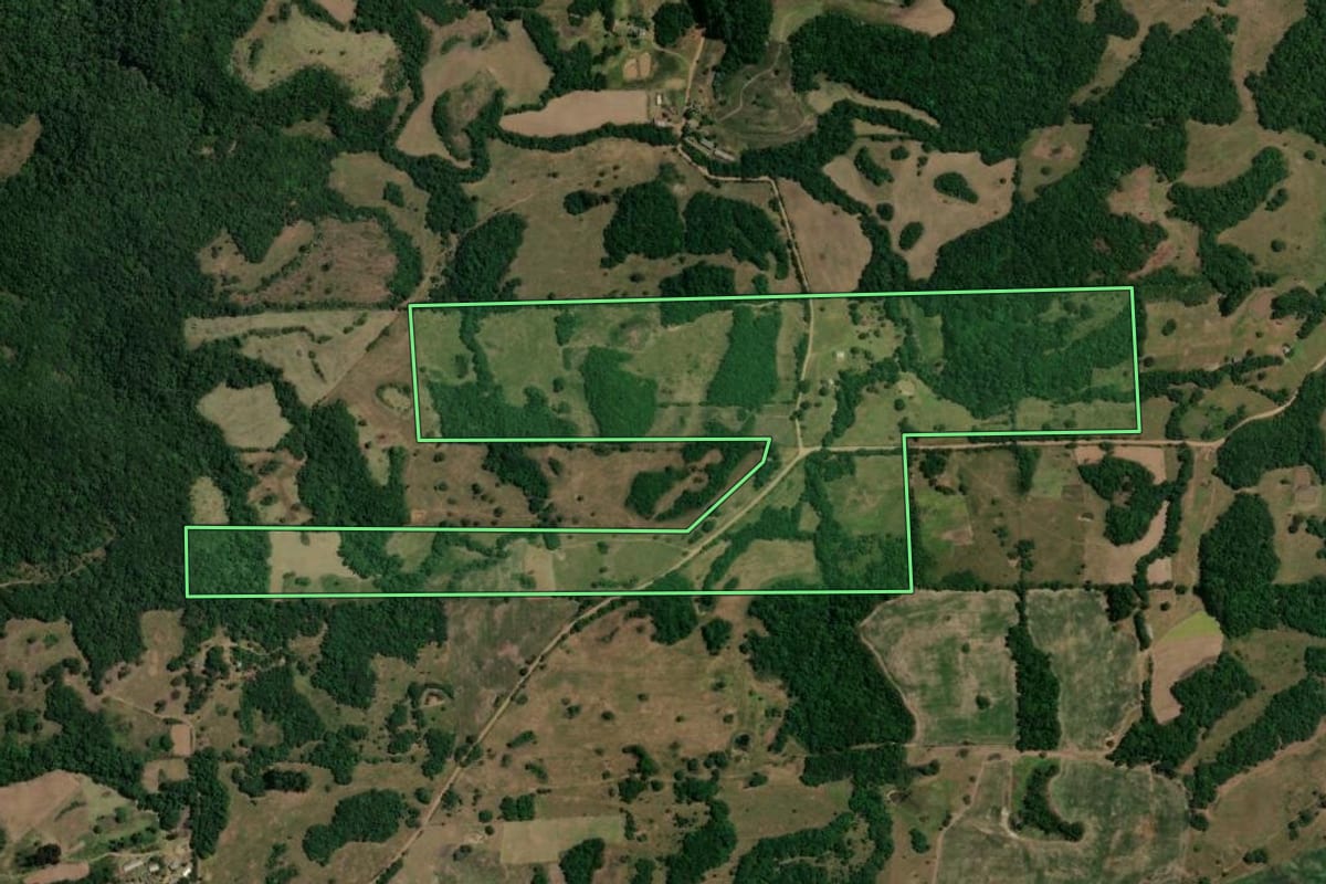 Imagem de satélite do imóvel rural em São Francisco de Assis (RS), com o contorno declarado no CAR desenhado por cima.