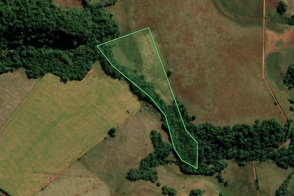 Imagem de satélite do imóvel rural em São Francisco de Assis (RS), com o contorno declarado no CAR desenhado por cima.