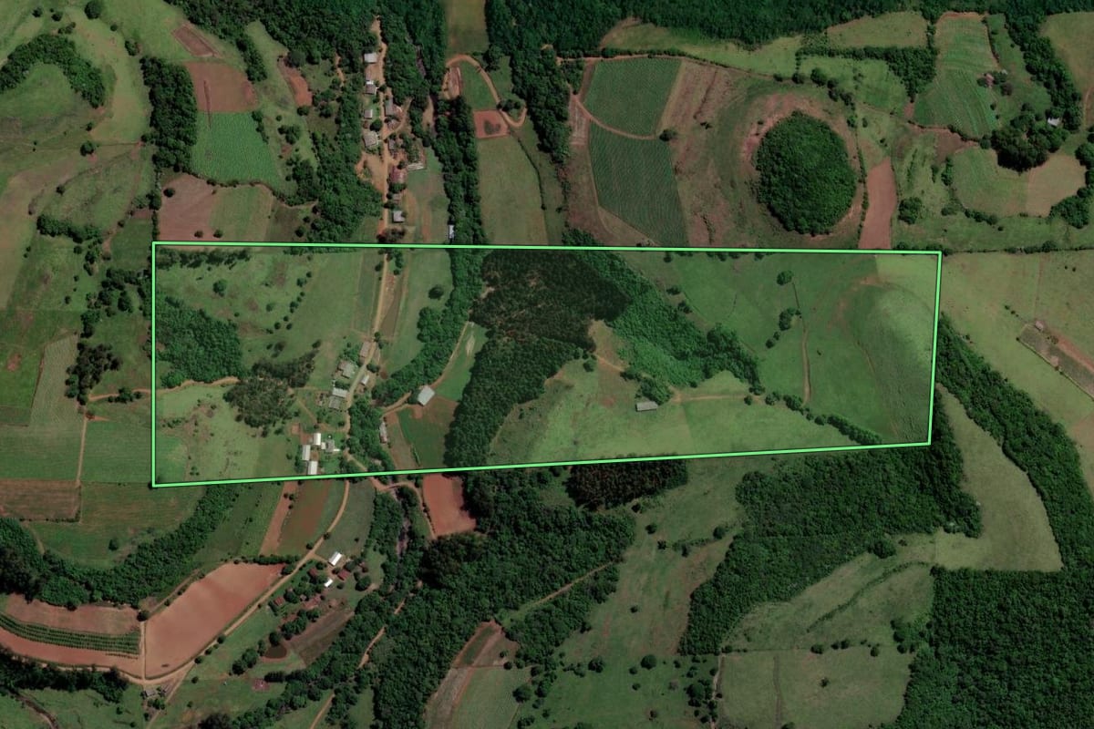 Imagem de satélite do imóvel rural em São Francisco de Assis (RS), com o contorno declarado no CAR desenhado por cima.