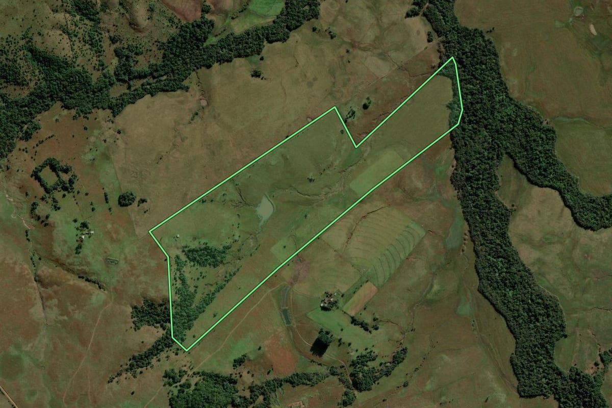 Imagem de satélite do imóvel rural em São Francisco de Assis (RS), com o contorno declarado no CAR desenhado por cima.