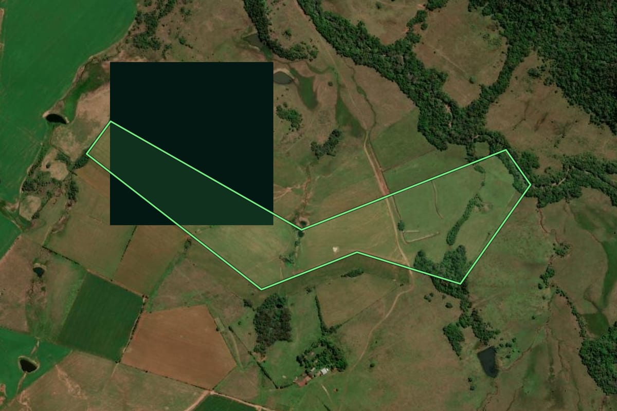 Imagem de satélite do imóvel rural em São Francisco de Assis (RS), com o contorno declarado no CAR desenhado por cima.