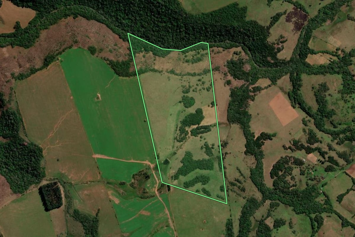 Imagem de satélite do imóvel rural em São Francisco de Assis (RS), com o contorno declarado no CAR desenhado por cima.