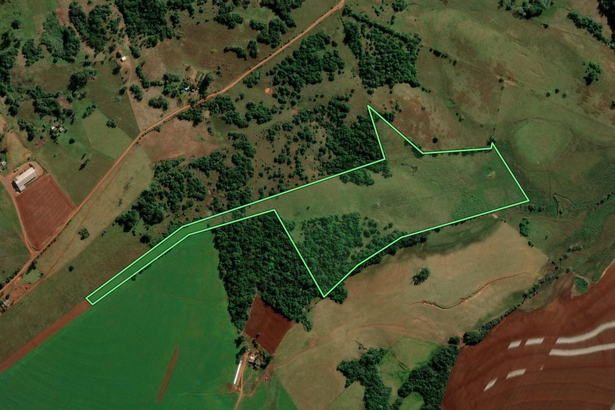 Imagem de satélite do imóvel rural em São Francisco de Assis (RS), com o contorno declarado no CAR desenhado por cima.