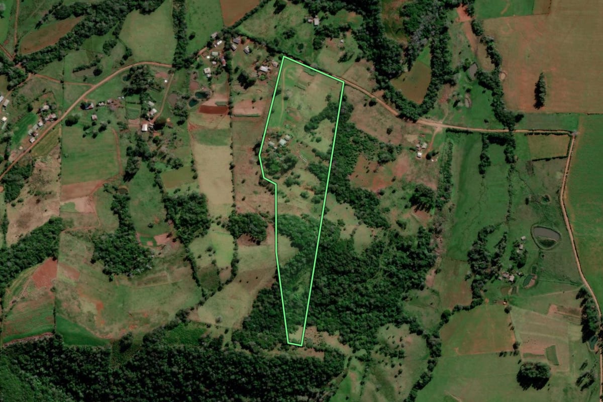 Imagem de satélite do imóvel rural em São Francisco de Assis (RS), com o contorno declarado no CAR desenhado por cima.
